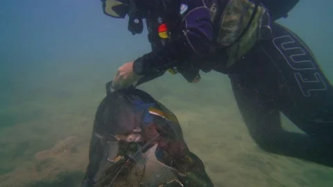 A Scuba Diver Puts Litters In a Garbage Bag Under the Sea Stock Footage 144850046