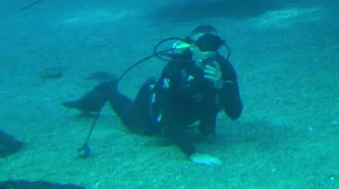 Scuba diver searching bottom Stock Footage 22417645