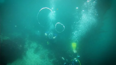 Scuba Diver is Sending Bubble Rings Underwater Stock Footage 129102311