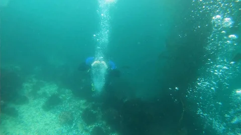 Scuba Diver Shapes Bubble Rings Underwater Stock Footage 129102655