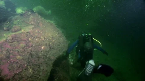 Scuba diver silhouette on background of seabed underwater. Stock Footage