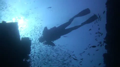 Scuba Diver Silhouette Stock Footage 22303155