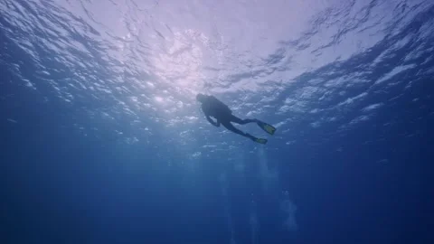 Scuba diver in sun near surface Stock Footage 344002944