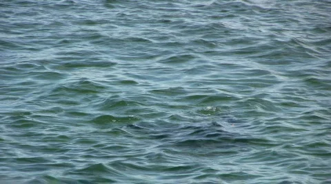 Scuba diver surfacing Video stock 276198