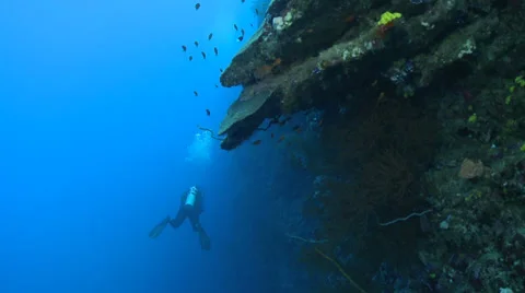 Scuba diver swimming along a coral reef - two footage Vidéo 31439409