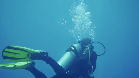 Scuba diver swimming with bubbles rising to the surface Video stock 241086150