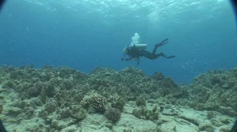 Scuba Diver Swimming by Stock Footage 5256719
