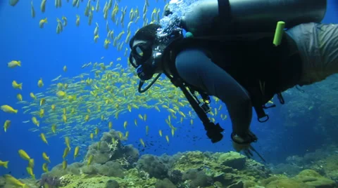 Scuba diver swimming through fish Stock Footage