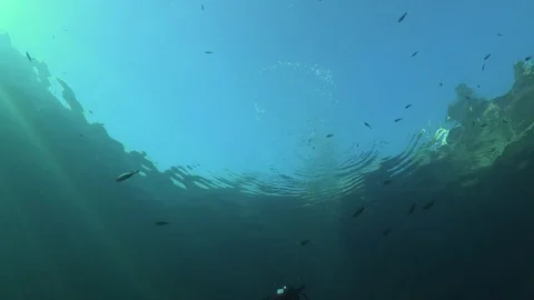 Scuba diver swimming through frame Stock Footage 70825484