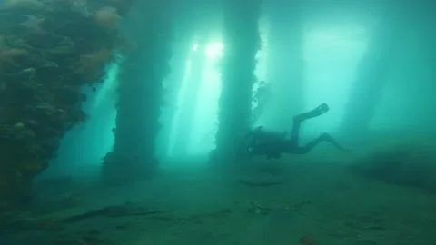 Scuba diver swims between large encrusted pillars in ocean Stock Footage 307767197