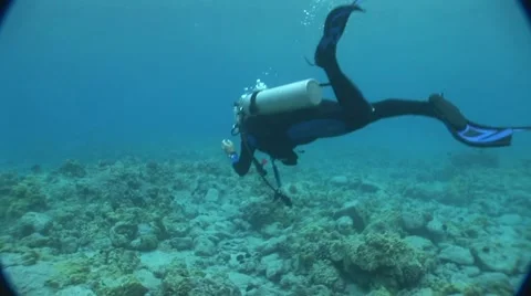 Scuba Diver Swims down to the Ocean Floor Stock Footage 5260124
