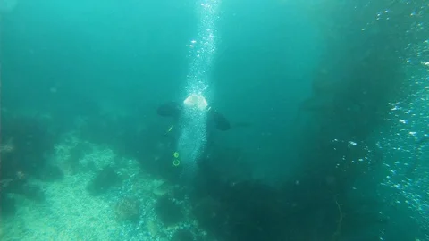 Scuba Diver is Trying to Hit with Bubble Rings Stock Footage 129102292