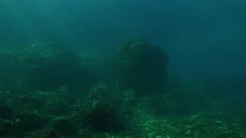 Scuba diver using a compass Stock Footage 70823967