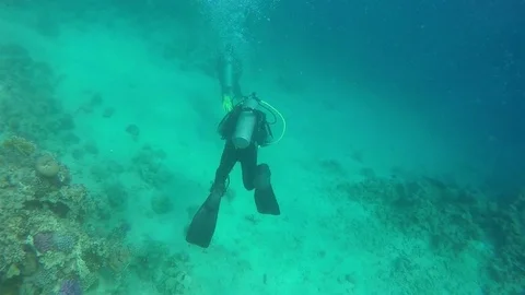 Scuba Diver, View from behind Stock Footage 73975889