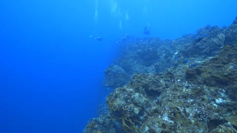 Scuba diver on a wall dive Stock Footage 305966189