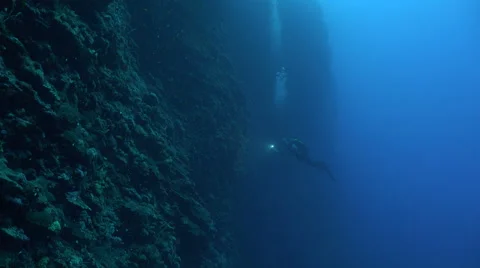 Scuba diver in a wall of reef with light. Deep blue background. Video stock 61115555