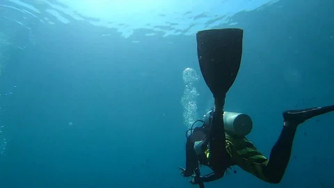 Scuba Diver in the water Stock Footage 122553133