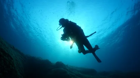 Scuba diver woman silhouette underwater sun beam sun shine fish around Stock Footage