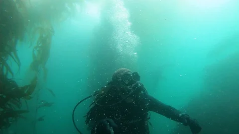 Scuba Diverman is Getting Surprised Stock Footage 129243309