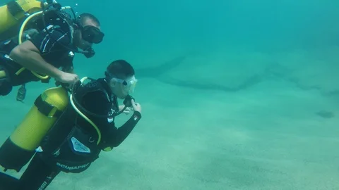 Scuba divers are diving over sea bottom stones with fish in summer in slo-mo Stock-Footage 111462301