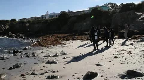 Scuba divers on beach Stock Footage 21551080