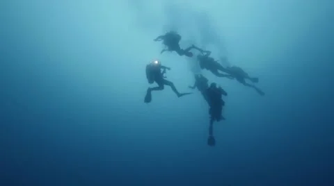 Scuba Divers from Beneath Video stock 63423127