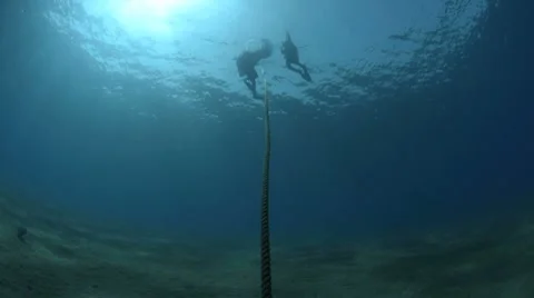 Scuba divers bydescent line - low angle silhouette Stock Footage 7129873