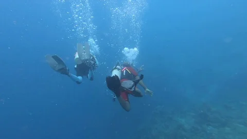 Scuba Divers in Curacao Stock Footage 102798622