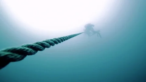 Scuba divers descending down a long rope from a boat into the ocean Stock Footage 80439288