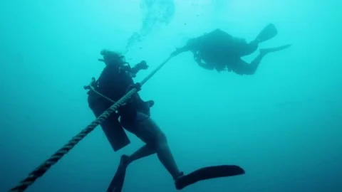 Scuba divers descending down a long rope from a boat into the ocean Stock-Footage 80439571