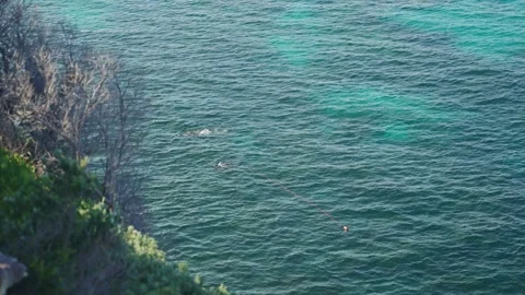 Scuba-divers diving close to cliffs in Bondi Beach in Sydney Australia Stock Footage 288315967