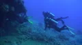 Scuba divers entering wreck (Dunraven) HD Footage