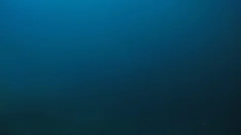 SCUBA divers explore a ship wreck in blue water as seen from a GoPro Stock Footage 115011311