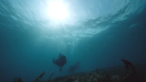 Scuba diver's explorinf the underwater world in the blue ocean. Stock Footage 126385143