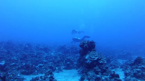 Scuba divers exploring. Deep dive. 4k. 動画素材 129016719