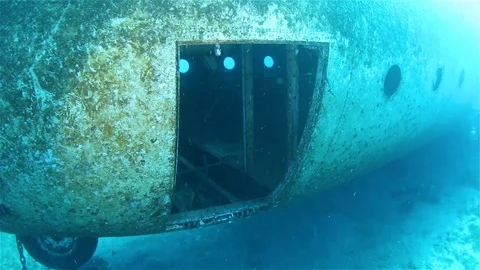 Scuba Divers Exploring Inside Big Airplane C130 Wreck Vídeos de archivo 126325070