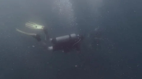 Scuba divers exploring murky and turbulent waters Видео 103221483