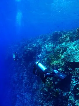 Scuba divers exploring reef in the deep sea. Swimming divers Stock Photos