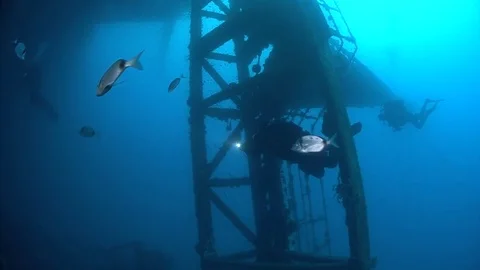 SCUBA divers exploring  the shipwreck Zenobia, underwater, Cyprus Stock Footage 82755028