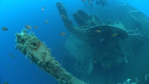 SCUBA divers exploring  the shipwreck Zenobia, underwater, Cyprus Stock Footage 82755381