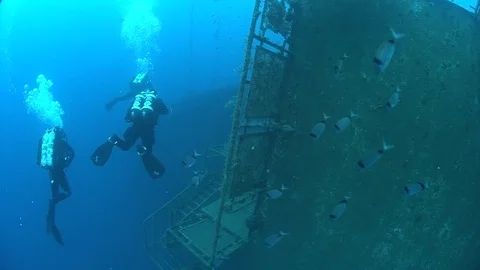 SCUBA divers exploring  the shipwreck Zenobia, underwater, Cyprus Stock Footage 82755508