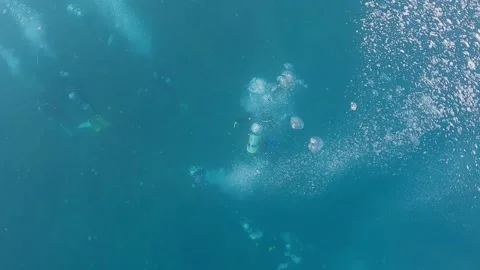 Scuba divers exploring underwater. People in diving gear dives down water-Dan Stock Footage 134280873