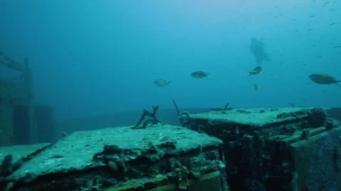Scuba divers exploring the the USS Spiegel Grove wreck Stock-Footage 80432029