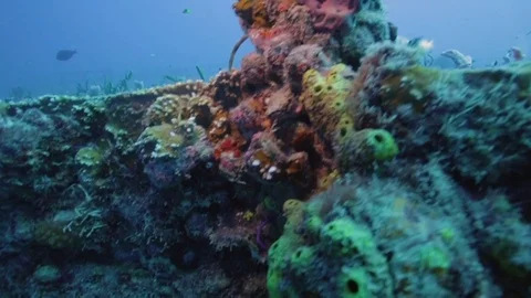 Scuba divers exploring the the USS Spiegel Grove wreck Stock Footage 80432929