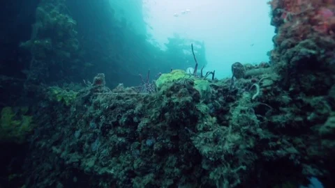 Scuba divers exploring the USS Spiegel Grove wreck Stock Footage 80438169