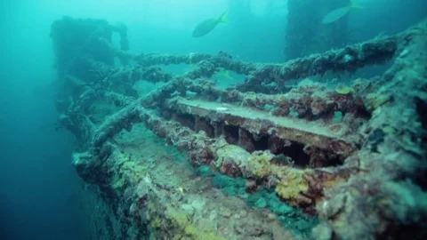 Scuba divers exploring the USS Spiegel Grove wreck 스톡 동영상 80438274