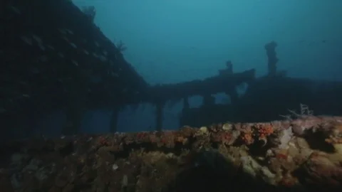 Scuba divers exploring the USS Spiegel Grove wreck Stock Footage 80438401