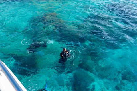 Scuba Divers Exploring Vibrant Underwater Life in Clear Turquoise Waters Near a Stock Photos