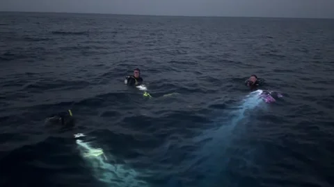 Scuba divers with flashlights exploring the open sea at night Stock Footage 331340001