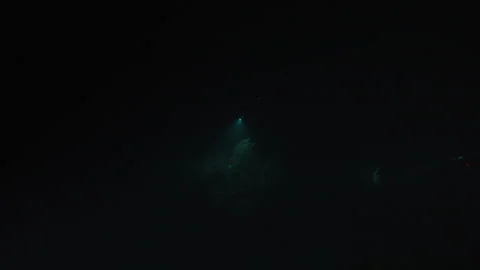 Scuba Divers’ Flashlights Illuminating the Dark Belizean Waters Stock Footage 306499648
